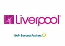 Success Factors Liverpool