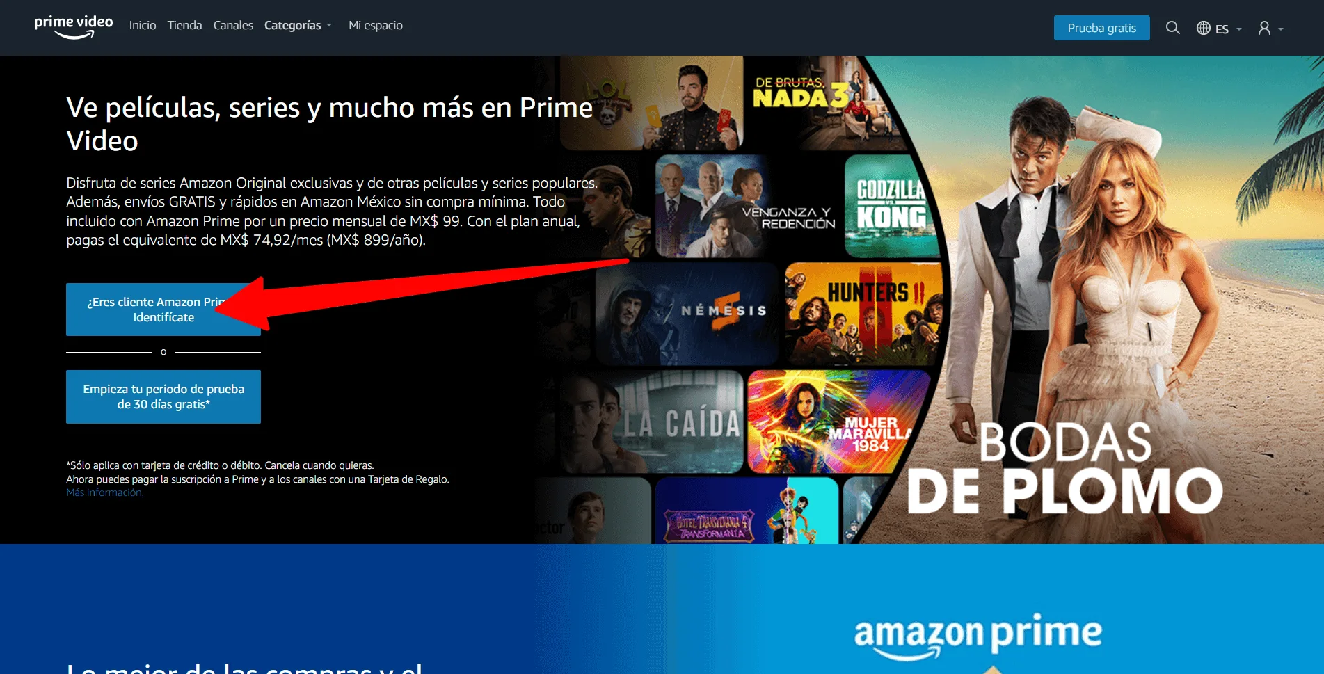 Pantalla de inicio de sesión de Amazon Prime Video
