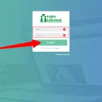 Pantalla de inicio de sesión de la plataforma de aprendizaje de inglés Individual, mostrando campos para ingresar correo electrónico y contraseña, con un botón de inicio de sesión resaltado en verde.