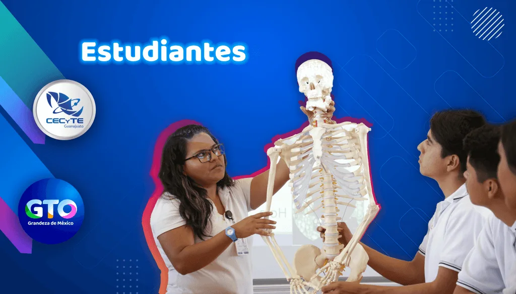 Estudiantes de CECYTE Guanajuato participan en una clase práctica sobre anatomía, sosteniendo un modelo de esqueleto humano mientras observan y aprenden.