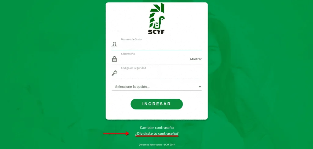 recuperar contrasena de portal scyf