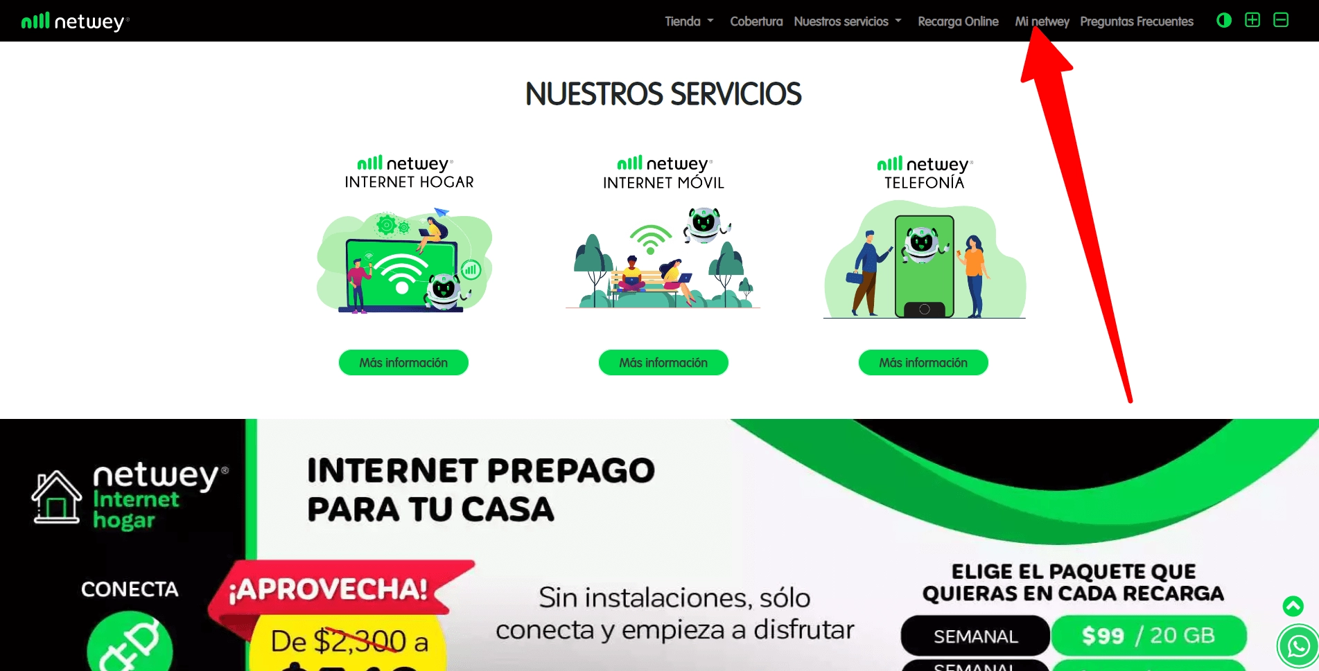 Interfaz de inicio de sesión de Mi Netwey