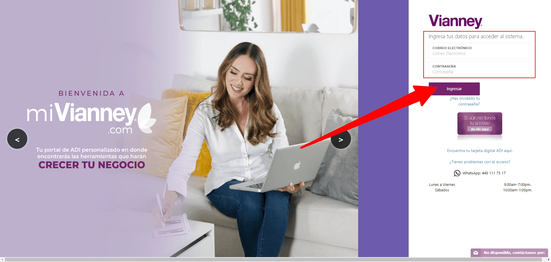 Página de inicio de sesión de Mi Negocio Vianney