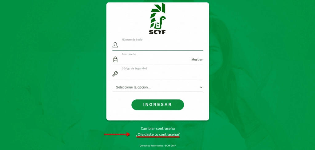 recuperar contrasena de portal scyf